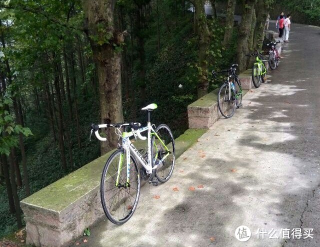 我关注的体育赛事之2023环法自行车赛