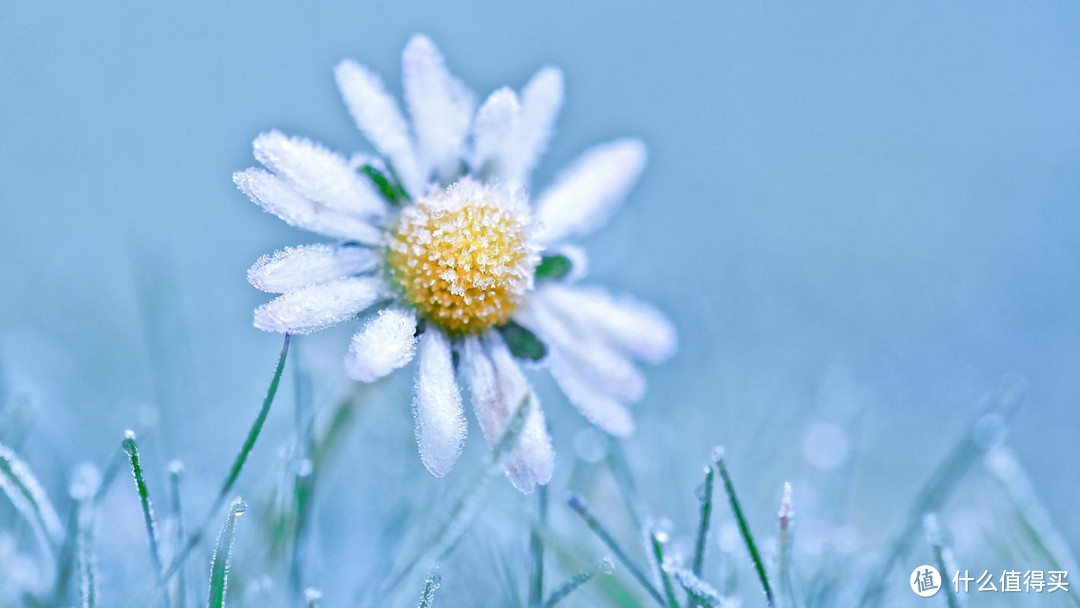 体育赛事背后的科技支撑与发展趋势探讨